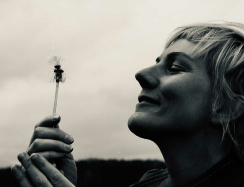 Die Pusteblume – meine Inspiration