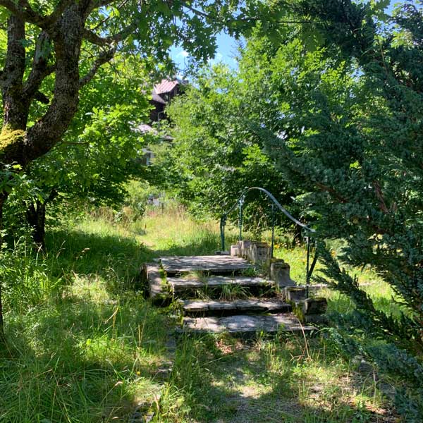 Ein verwilderter, zugewachsener Weg der über eine kleine Steinbrücke mit geschwungenem, zarten Eisengeländer mit hohem Gras, Bäumen und Büschen an beiden Seiten